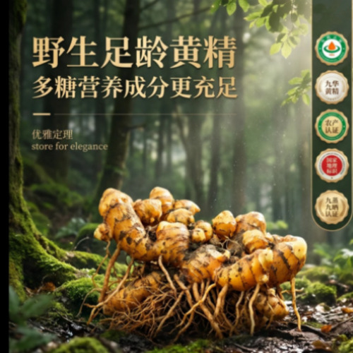 菁选灵创AI视觉创作展示